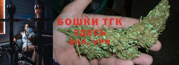 прущие грибы Аркадак