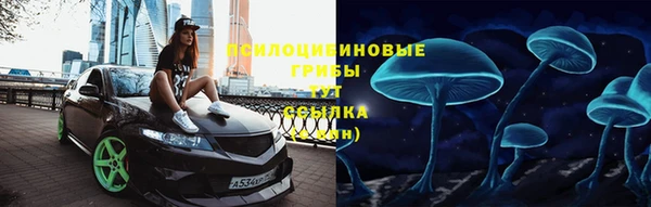 PSILOCYBIN Арсеньев