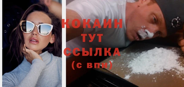 прущие грибы Аркадак