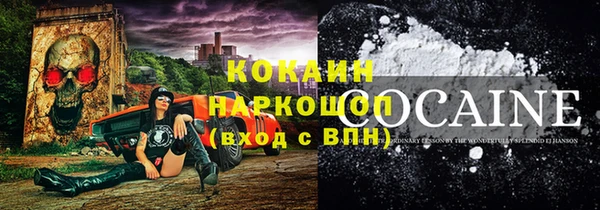 прущие грибы Аркадак