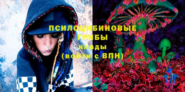 прущие грибы Аркадак