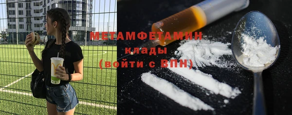 прущие грибы Аркадак