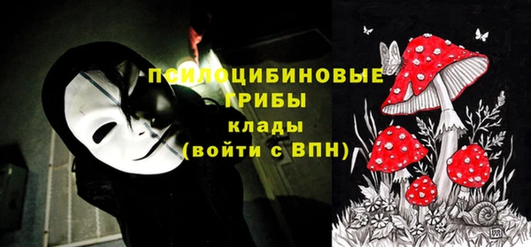 PSILOCYBIN Арсеньев
