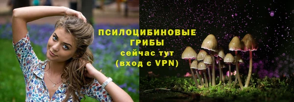 PSILOCYBIN Арсеньев