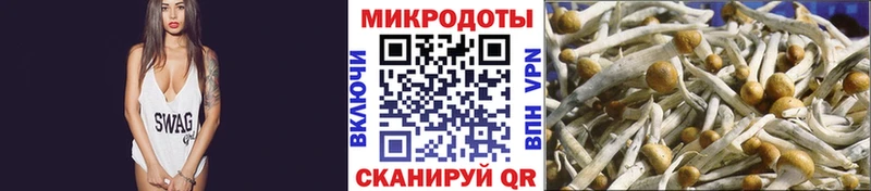 Псилоцибиновые грибы Magic Shrooms  мега ссылка  Нововоронеж 