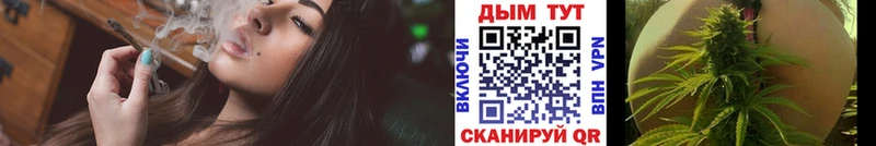 Бошки марихуана THC 21%  Нововоронеж 
